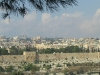 israel_20090131