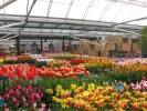 springbreak_20090408_198.jpg
