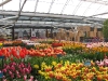 springbreak_20090408_198.jpg