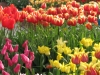 springbreak_20090408_199.jpg